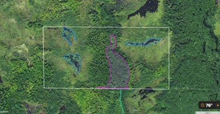 80 Acre Side Lake Hunting Land For Sale! - image 16