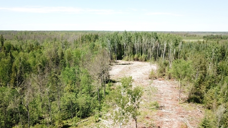 80 Acre Side Lake Hunting Land For Sale! - image 7