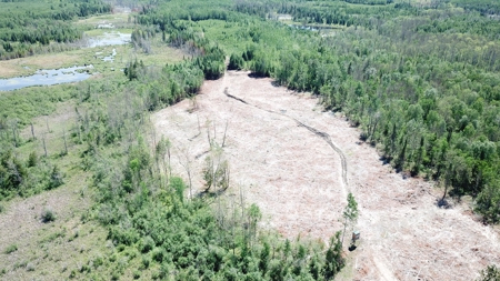80 Acre Side Lake Hunting Land For Sale! - image 8