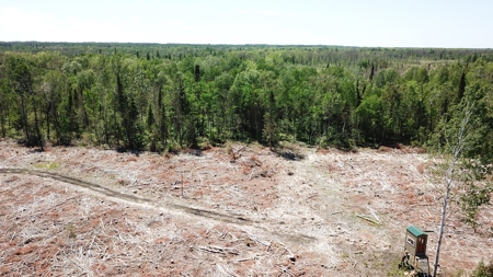 80 Acre Side Lake Hunting Land For Sale! - image 10