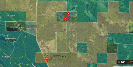 80 Acre Side Lake Hunting Land For Sale! - image 2