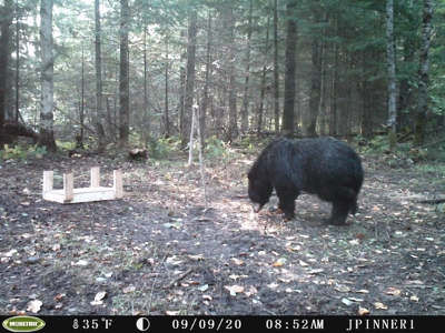 80 Acre Side Lake Hunting Land For Sale! - image 14