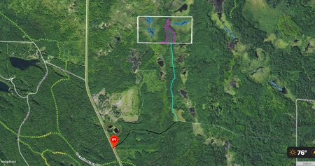 80 Acre Side Lake Hunting Land For Sale! - image 4