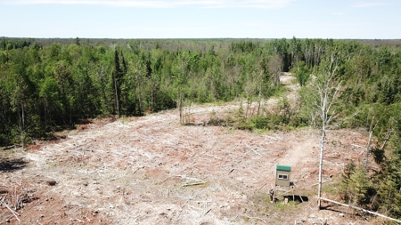 80 Acre Side Lake Hunting Land For Sale! - image 9