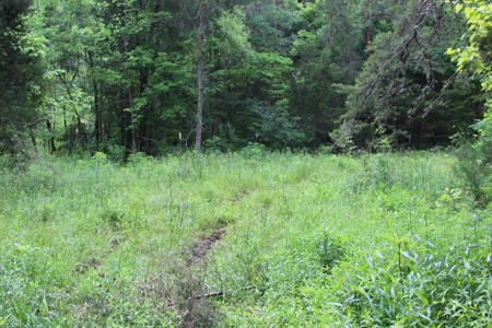 17 Acres With Cargo Conversion Trailer in East TN For Sale - image 1
