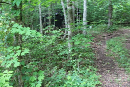 17 Acres With Cargo Conversion Trailer in East TN For Sale - image 13