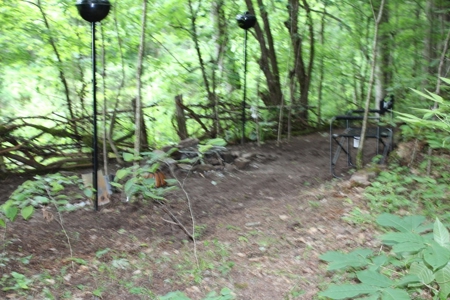 17 Acres With Cargo Conversion Trailer in East TN For Sale - image 12