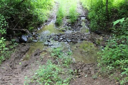 17 Acres With Cargo Conversion Trailer in East TN For Sale - image 2