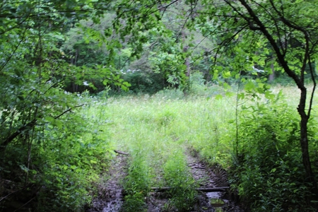 17 Acres With Cargo Conversion Trailer in East TN For Sale - image 6