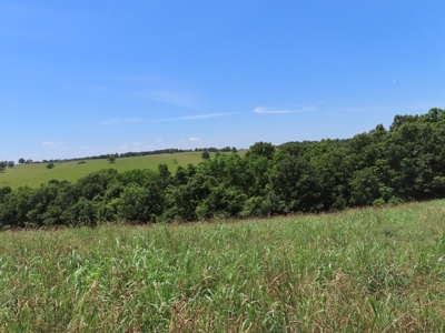 Land With Cave For Sale In Ar - image 22