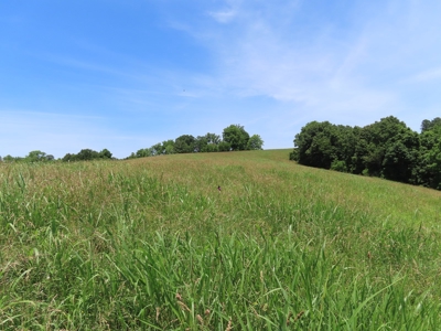 Land With Cave For Sale In Ar - image 18