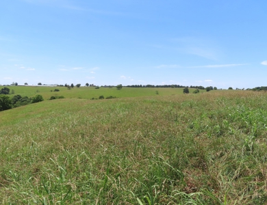 Land With Cave For Sale In Ar - image 20