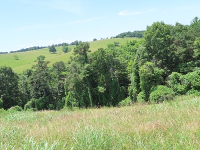 Land With Cave For Sale In Ar - image 12