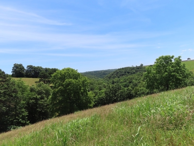 Land With Cave For Sale In Ar - image 17