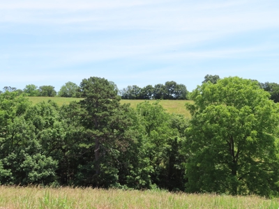 Land With Cave For Sale In Ar - image 15