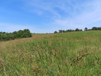 Land With Cave For Sale In Ar - image 4