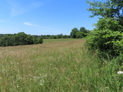 Land With Cave For Sale In Ar - image 3
