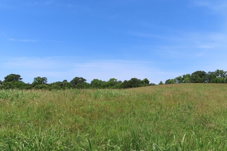 Land With Cave For Sale In Ar - image 19