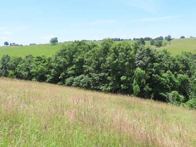 Land With Cave For Sale In Ar - image 13