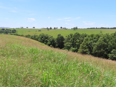 Land With Cave For Sale In Ar - image 11