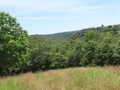 Land With Cave For Sale In Ar - image 14