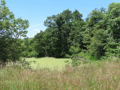 Land With Cave For Sale In Ar - image 8