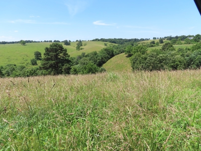 Land With Cave For Sale In Ar - image 5