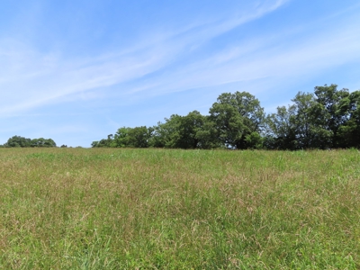Land With Cave For Sale In Ar - image 6