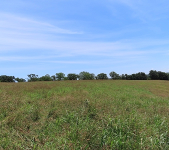 Land With Cave For Sale In Ar - image 21