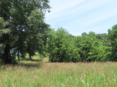 Land With Cave For Sale In Ar - image 10