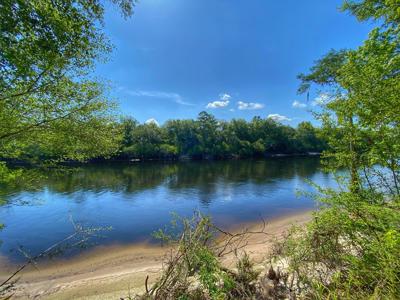 Riverfront Home On The Suwannee River! - image 27