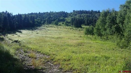 CO Mountain Cabin For Sale on Site of Historic Ski Area - image 13
