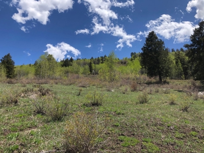 CO Mountain Cabin For Sale on Site of Historic Ski Area - image 20