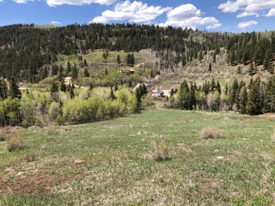 CO Mountain Cabin For Sale on Site of Historic Ski Area - image 19