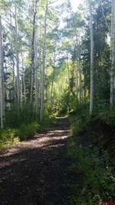 CO Mountain Cabin For Sale on Site of Historic Ski Area - image 11