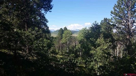 CO Mountain Cabin For Sale on Site of Historic Ski Area - image 18