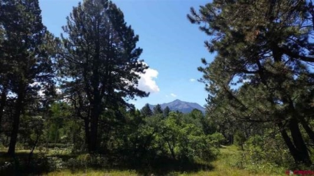 CO Mountain Cabin For Sale on Site of Historic Ski Area - image 16