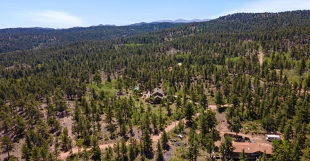 Beautiful Views From This Mountain Log Home - image 30