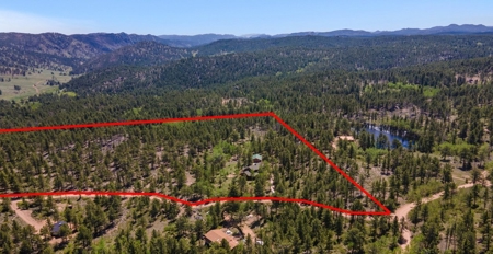 Beautiful Views From This Mountain Log Home - image 28