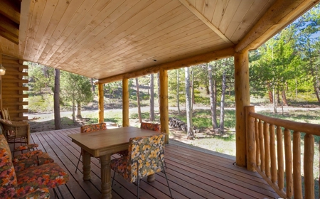 Beautiful Views From This Mountain Log Home - image 26