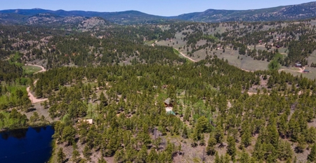 Beautiful Views From This Mountain Log Home - image 31