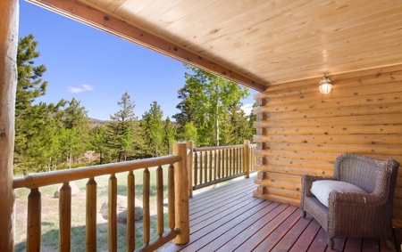 Beautiful Views From This Mountain Log Home - image 5