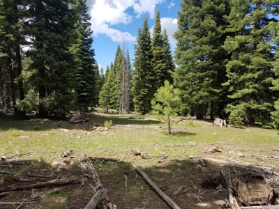 Quiet Mountain Retreat 1+/- Acres - image 2