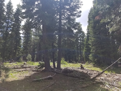 Quiet Mountain Retreat 1+/- Acres - image 8