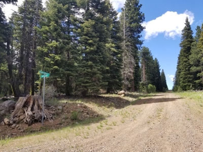 Quiet Mountain Retreat 1+/- Acres - image 7