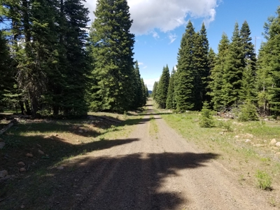 Quiet Mountain Retreat 1+/- Acres - image 6