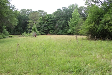 Historic Home / Farm With Creek For Sale In Hardin Co Tn - image 47