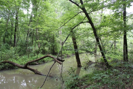 Historic Home / Farm With Creek For Sale In Hardin Co Tn - image 43