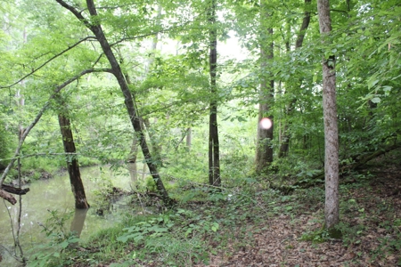 Historic Home / Farm With Creek For Sale In Hardin Co Tn - image 46