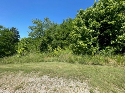 Mini Storage Facility For Sale in Ravenden Springs, AR - image 7